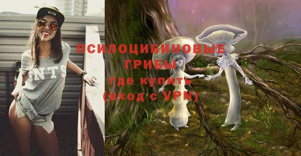 соль курить ск Алексин
