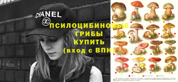 бошки Алзамай